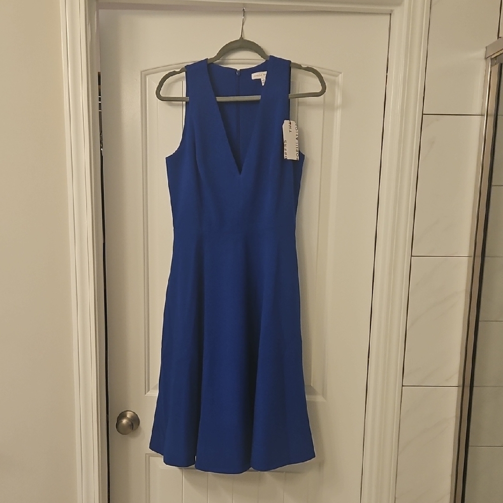 Dress the Population Royal Blue Backless Dress